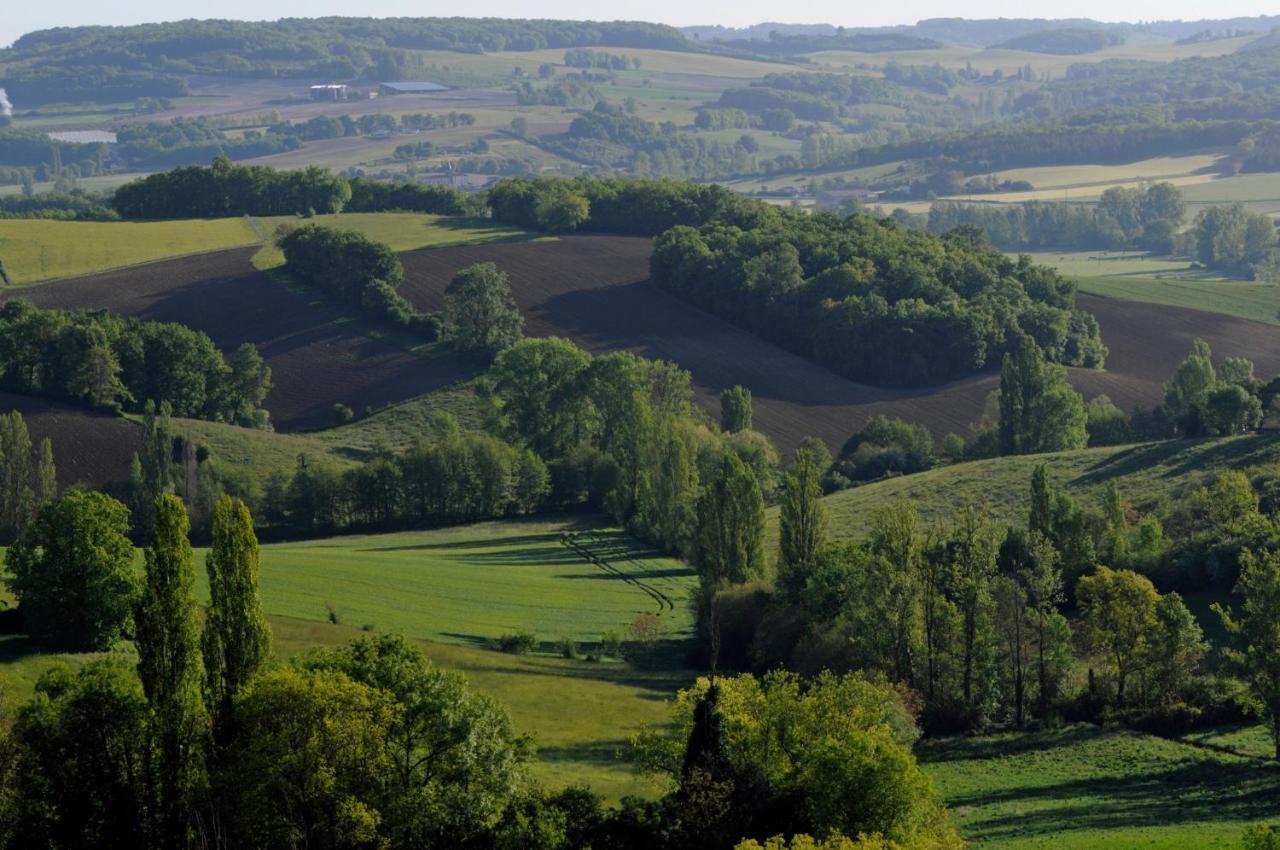Bed and Breakfast Domaine Ramonjavel, Glamping & Alpaca'S Fongrave Екстер'єр фото