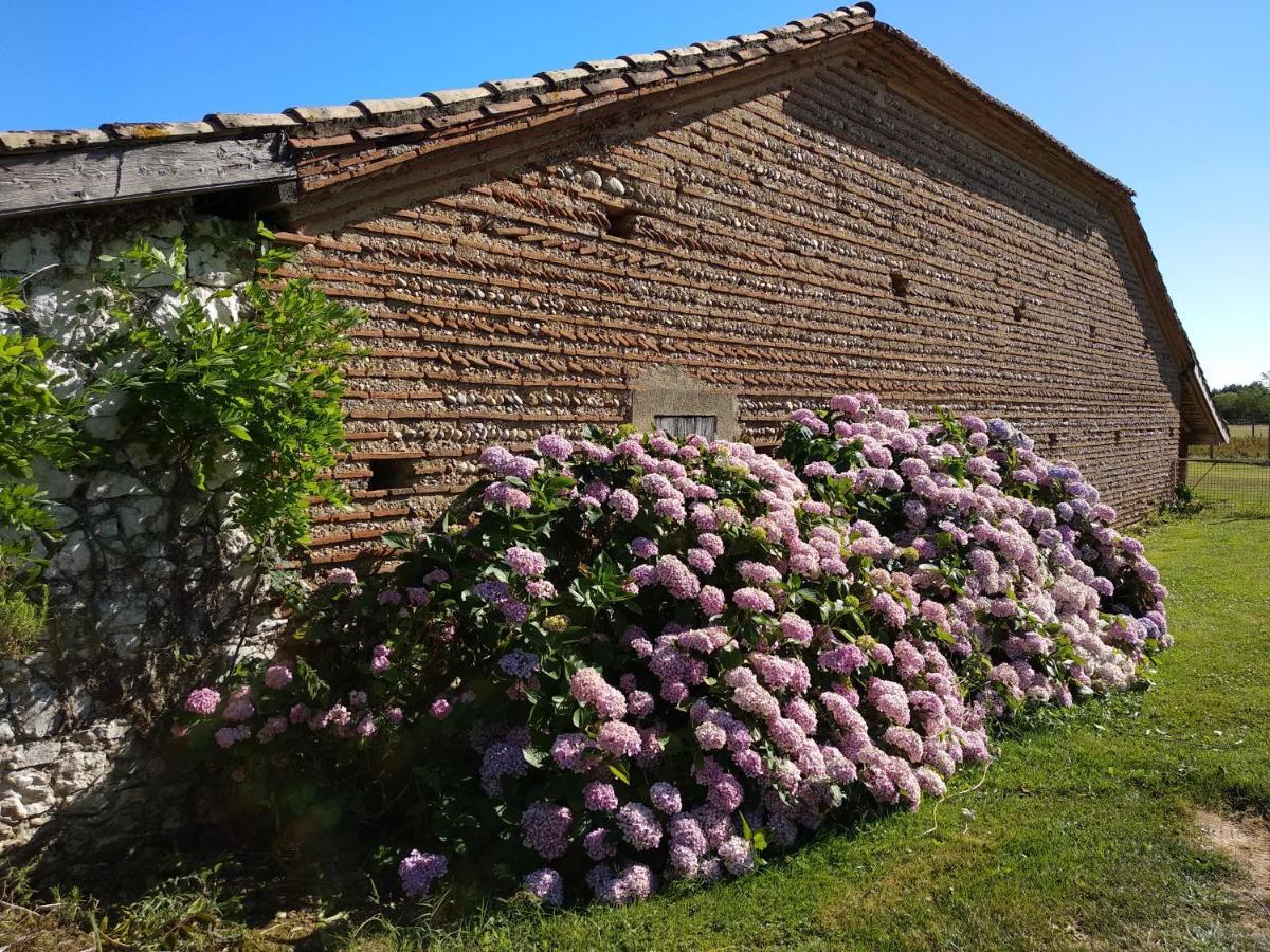 Bed and Breakfast Domaine Ramonjavel, Glamping & Alpaca'S Fongrave Екстер'єр фото
