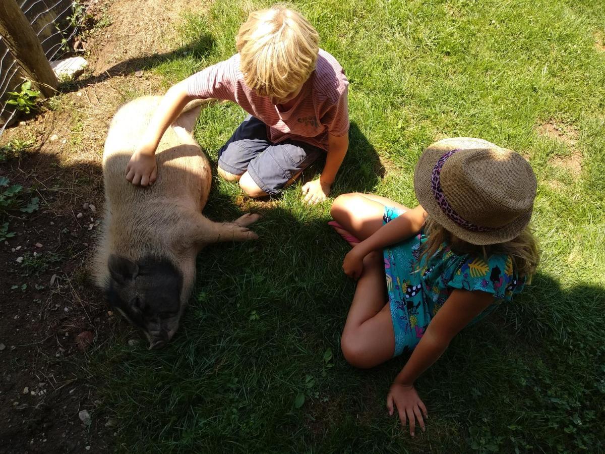 Bed and Breakfast Domaine Ramonjavel, Glamping & Alpaca'S Fongrave Екстер'єр фото
