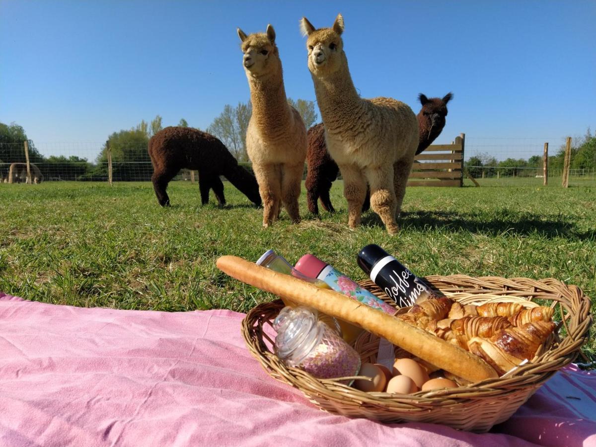 Bed and Breakfast Domaine Ramonjavel, Glamping & Alpaca'S Fongrave Екстер'єр фото