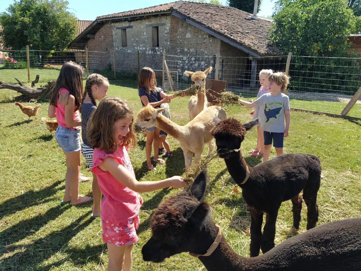 Bed and Breakfast Domaine Ramonjavel, Glamping & Alpaca'S Fongrave Екстер'єр фото