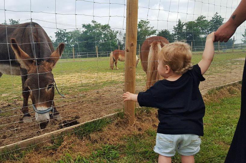 Bed and Breakfast Domaine Ramonjavel, Glamping & Alpaca'S Fongrave Екстер'єр фото